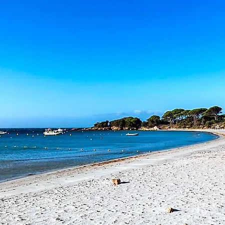 Pierre & Premium Vesna Rossa 5*
